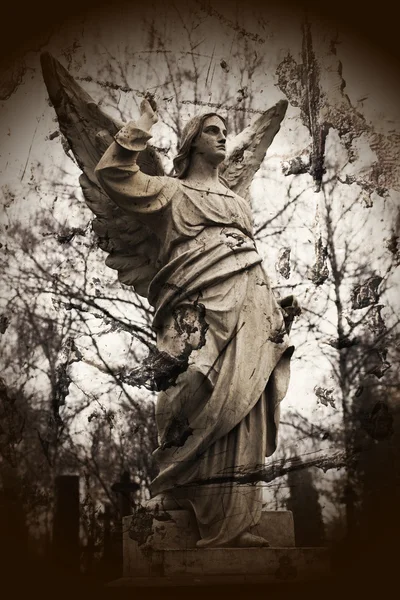Старый каменный ангел — стоковое фото
