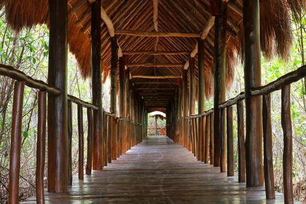 Jungle walkway in Mexican resort — Stock Photo, Image
