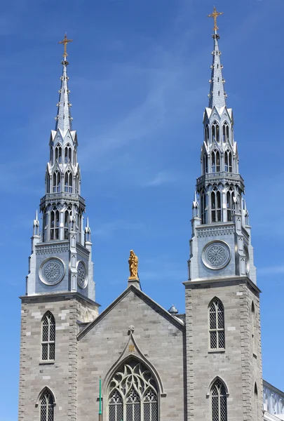 Cathedrale Notre Dame — Stok fotoğraf