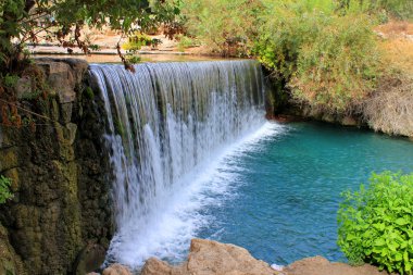 Waterfall in park Gan Hashlosha in Israel. clipart