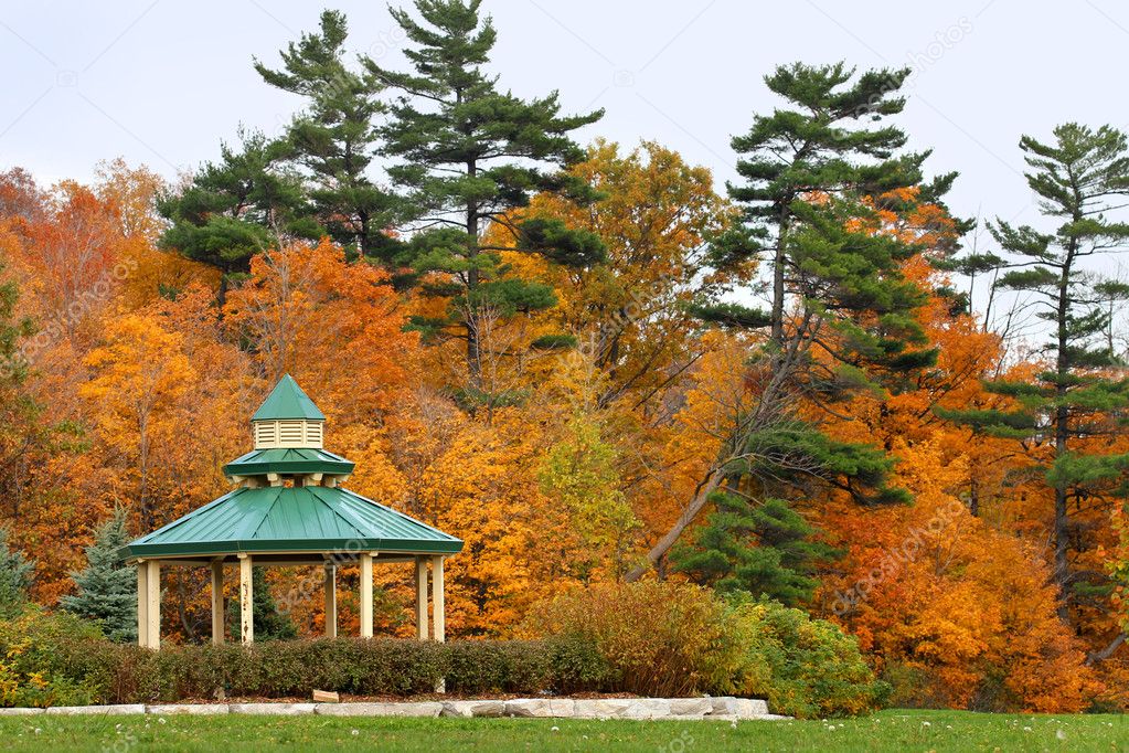 Inviting gazebo in park with nice view to the forest
