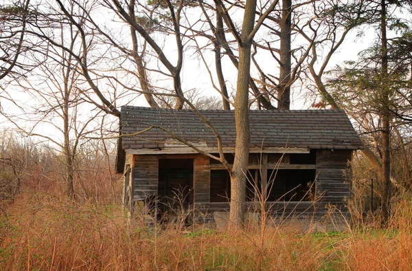 Εγκαταλελειμμένο σπίτι ανάμεσα στα δέντρα. — Φωτογραφία Αρχείου