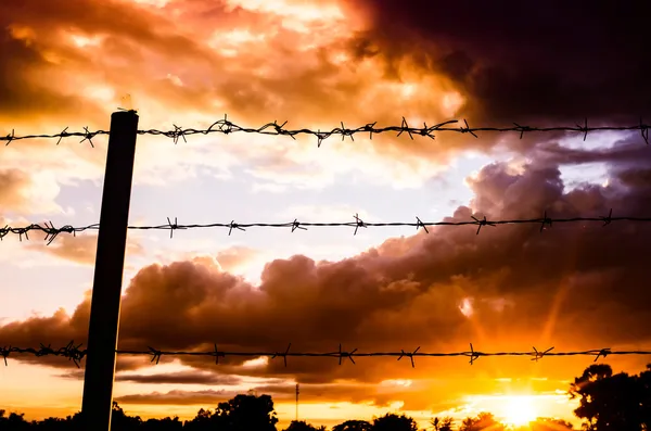 Prikkeldraad hek en de zon — Stockfoto