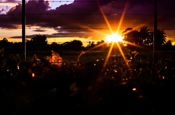 有刺鉄線のフェンスと太陽 — ストック写真