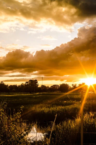 철 조망 울타리와 태양 — 스톡 사진