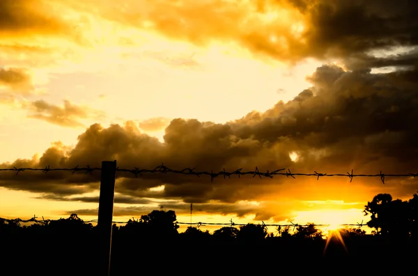 Dikenli tel çit ve güneş — Stok fotoğraf
