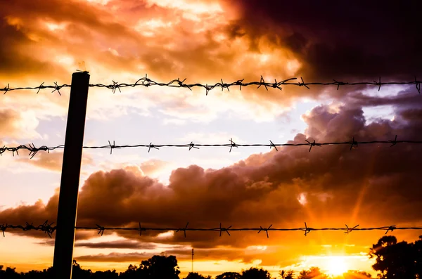 Забор из колючей проволоки и солнце — стоковое фото