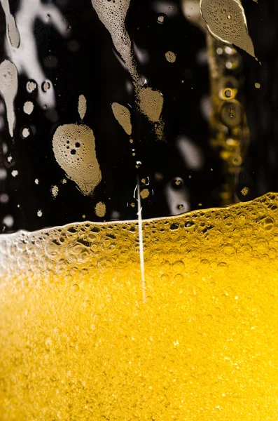 stock image Beer in macro