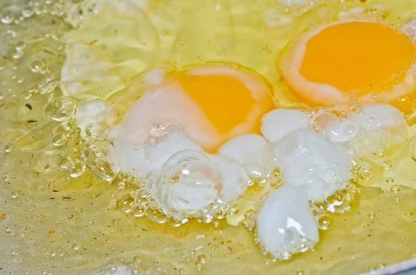 stock image Fried egg