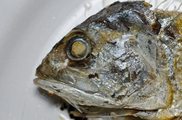 stock image Chub mackerel fried