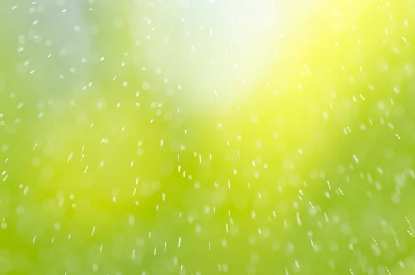 Regen und grüner Hintergrund — Stockfoto