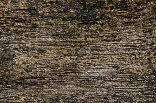Stará grunge dřevo textura — Stock fotografie