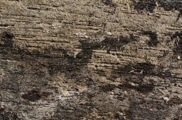 stock image Old grunge wood texture