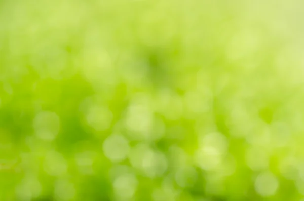 stock image Green moss blur background