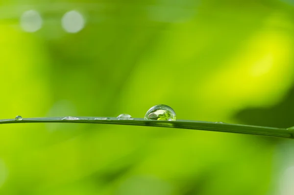 Dorps acqua nella natura verde — Foto Stock