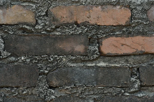 stock image Old brick wall