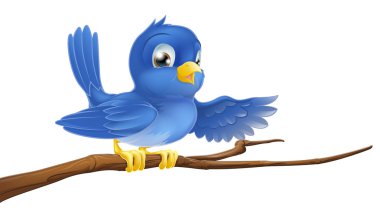 Bluebird sitting on branch pointing clipart