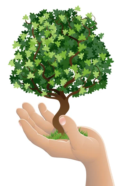 Hand hält einen wachsenden Baum — Stockvektor