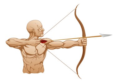 Strong archer with bow and arrow clipart