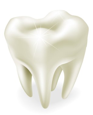 Tooth illustration clipart