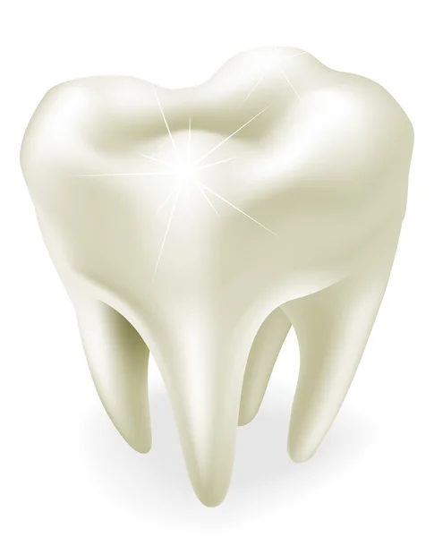 Illustration des dents — Image vectorielle