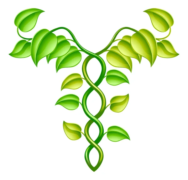 Concept de médecine naturelle ou alternative — Image vectorielle