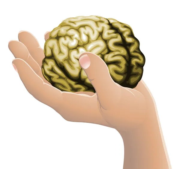 Mano sosteniendo un cerebro — Vector de stock