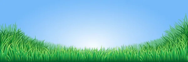 Green grass field illustration — Stock Vector