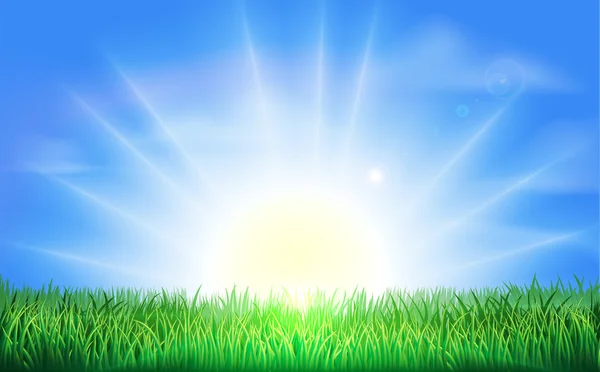 Salida del sol sobre el campo verde de hierba — Vector de stock