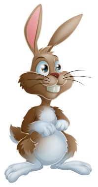 Bunny rabbit cartoon character illustration clipart
