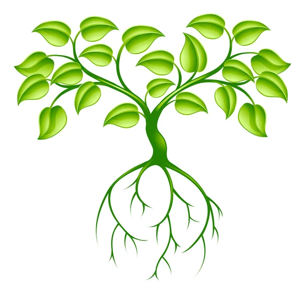 Green tree and roots — Stock Vector