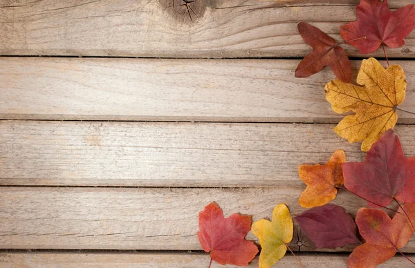 stock image Autumn wood background