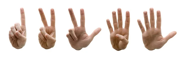 Handen teller — Stockfoto