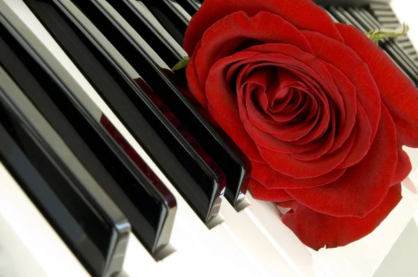 Röd ros på piano — Stockfoto