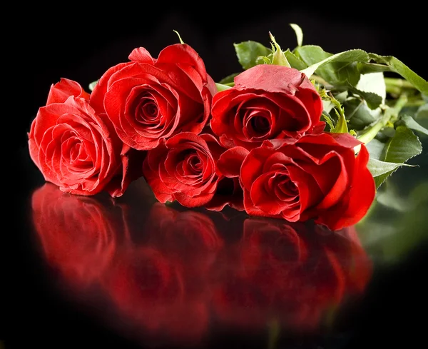 Röda rosor med reflektion — Stockfoto