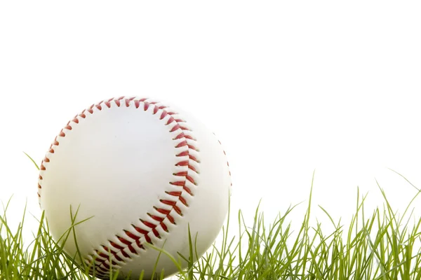 Honkbal in het gras — Stockfoto