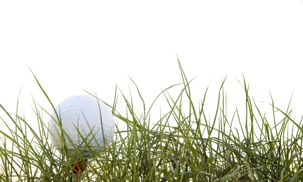 Golf ball in the tee — Stock Photo, Image