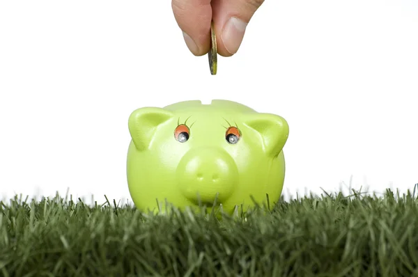 Saving money on a piggy-bank — Stock Photo, Image