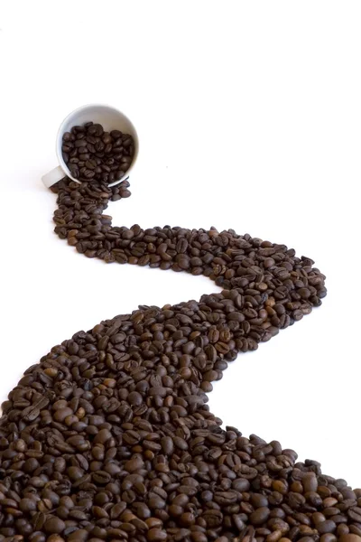 Coffee path — Stock Photo, Image