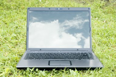 çim üstünde laptop