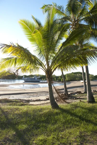 Palmeiras tropicais na praia com barco ancorado — Fotografia de Stock