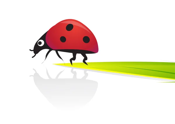 stock vector Ladybird vector