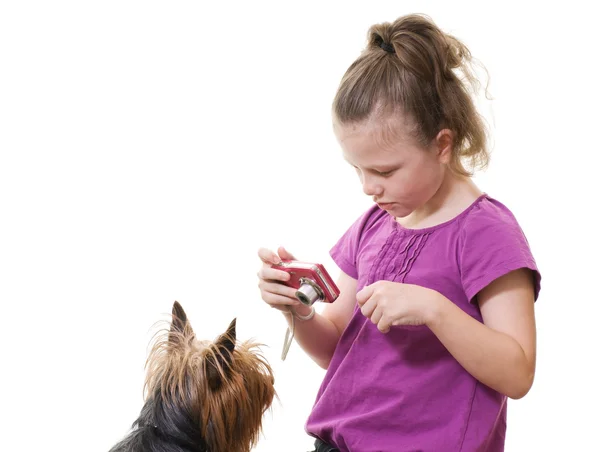 Chica preadolescente tomando fotos de perro mascota — Foto de Stock