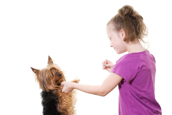 Preteen meisje spelen met huisdier hond — Stockfoto