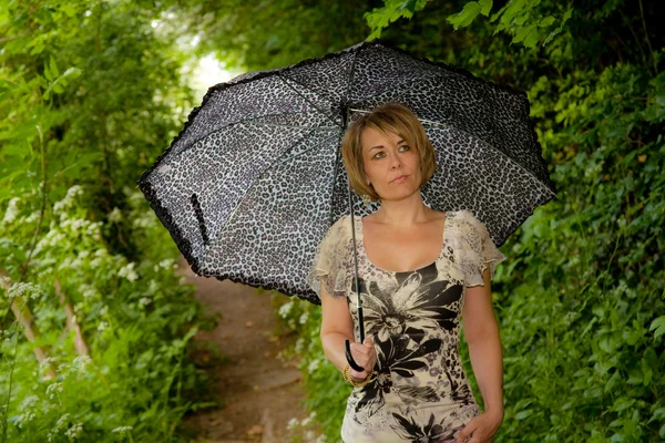 Regenschirm — Stockfoto