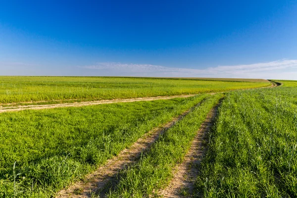 Деревенская дорога между сельскохозяйственными полями — стоковое фото