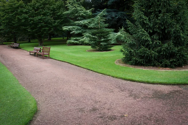 Bench in green park with trees — Stock Photo, Image