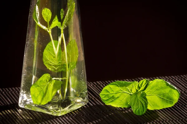 Fresh basil in bottle with vegetable oil — Stock Photo, Image