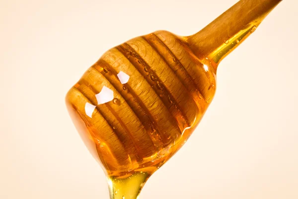 stock image Honey dipper with honey on white background