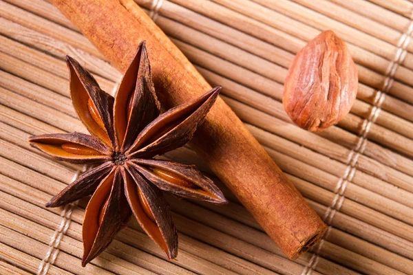 Closeup star anise, cinnamon bark and hazelnut — Stock Photo, Image
